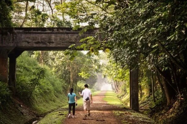 Rail Corridor